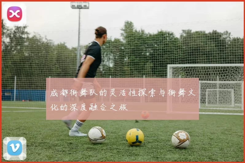 成都街舞队的灵活性探索与街舞文化的深度融合之旅