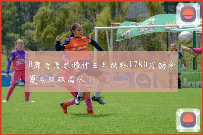 B席与马尔穆什去年纳税1780万镑今夏或双双离队
