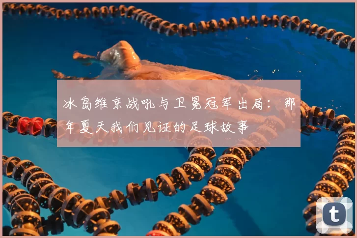 冰岛维京战吼与卫冕冠军出局:那年夏天我们见证的足球故事