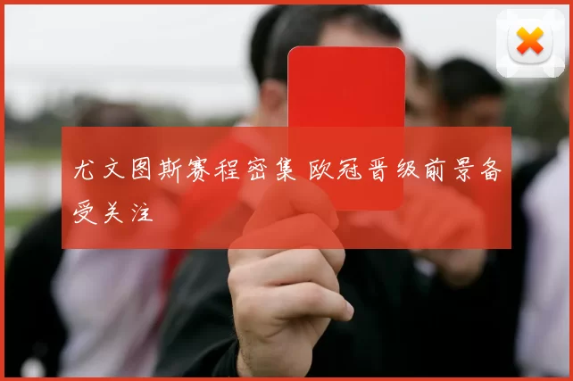尤文图斯赛程密集 欧冠晋级前景备受关注