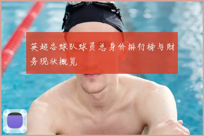 英超各球队球员总身价排行榜与财务现状概览