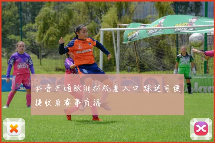 抖音开通欧洲杯观看入口 球迷可便捷收看赛事直播