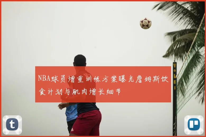 NBA球员增重训练方案曝光詹姆斯饮食计划与肌肉增长细节