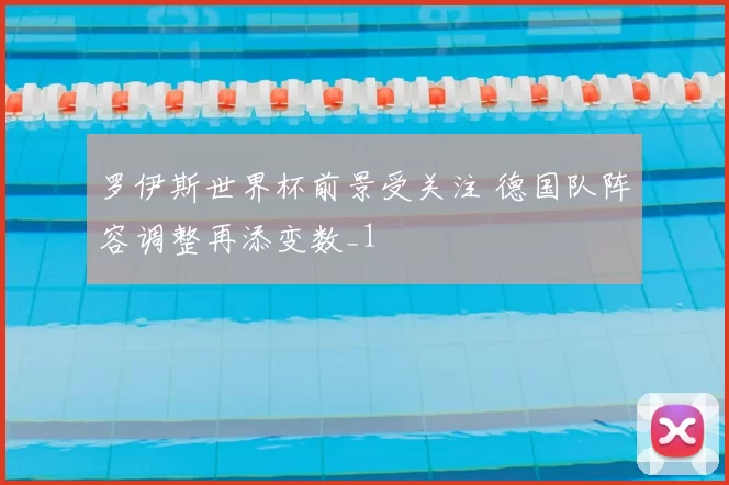 罗伊斯世界杯前景受关注 德国队阵容调整再添变数_1