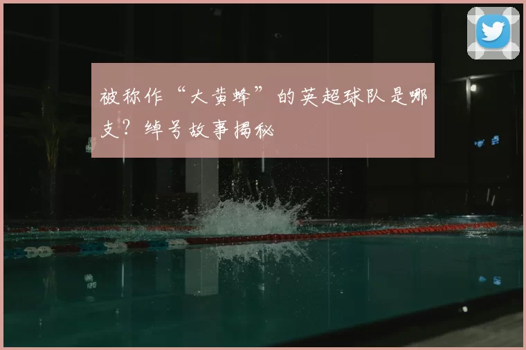 被称作“大黄蜂”的英超球队是哪支？绰号故事揭秘