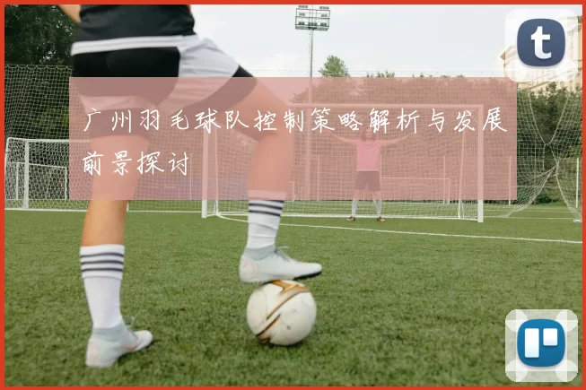 广州羽毛球队控制策略解析与发展前景探讨