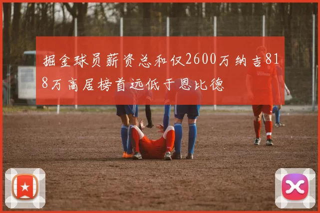 掘金球员薪资总和仅2600万纳吉818万高居榜首远低于恩比德
