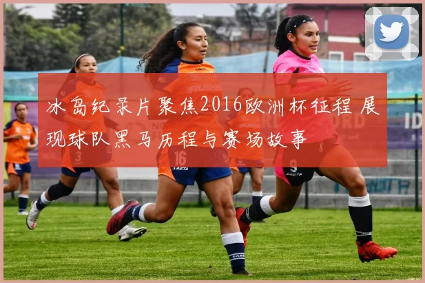 冰岛纪录片聚焦2016欧洲杯征程 展现球队黑马历程与赛场故事