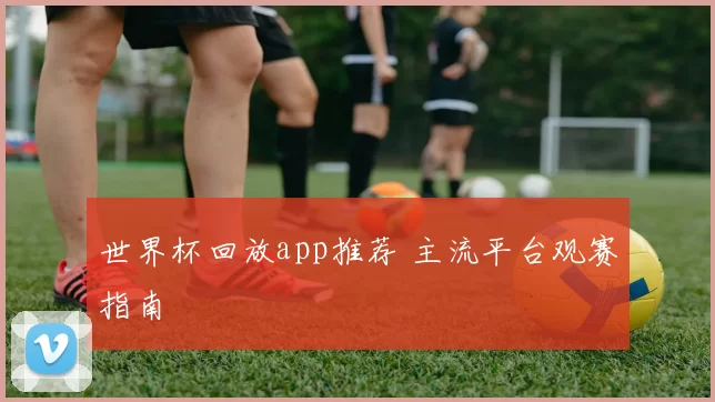 世界杯回放app推荐 主流平台观赛指南