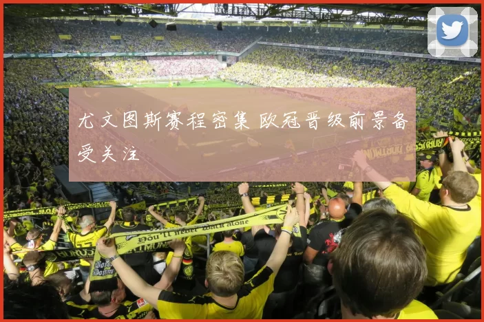 尤文图斯赛程密集 欧冠晋级前景备受关注