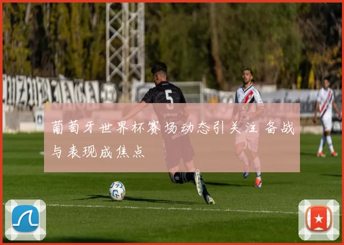 葡萄牙世界杯赛场动态引关注 备战与表现成焦点
