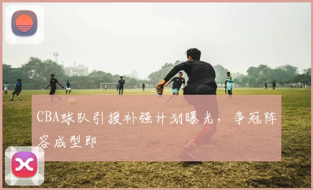 CBA球队引援补强计划曝光，争冠阵容成型即