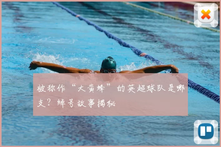 被称作“大黄蜂”的英超球队是哪支？绰号故事揭秘