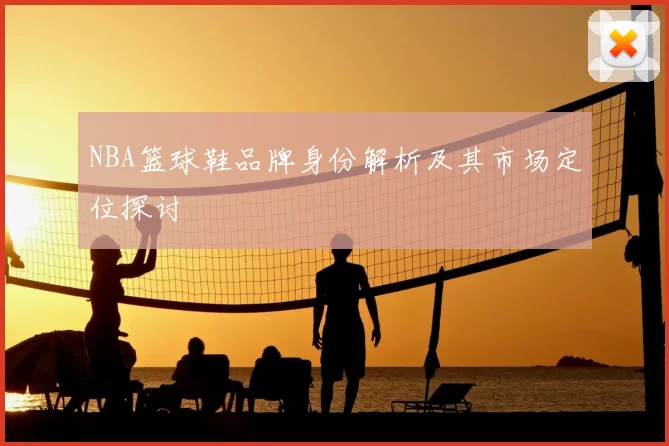 NBA篮球鞋品牌身份解析及其市场定位探讨