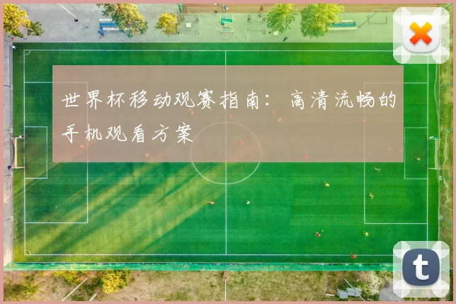 世界杯移动观赛指南：高清流畅的手机观看方案